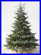 Balsam_Hill_European_Fir_Tree_6_5_ft_christmas_tree_type_Candlelight_Clear_LED_01_nl