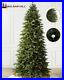 Balsam_Hill_Silverado_Slim_7_Ft_Christmas_Tree_Candlelight_Clear_LED_01_kmuw