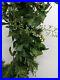 Balsam_Hill_Whiteberry_Cypress_Garland_10_Ft_2_Pack_LED_NewithOpen_01_mur