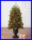 Balsam_Hill_trees_potted_artificial_led_candlelight_4_foot_norway_spruce_01_wfyb