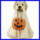 Bethany_Lowe_Halloween_Ghost_Dog_Jack_O_Lantern_Large_TD5046_Free_Shipping_01_pas