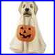 Bethany_Lowe_Halloween_Spooky_Ghost_Dog_Collectible_Halloween_Decoration_TD5046_01_gr