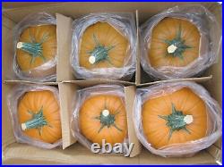 Carton Of Six 11 Artificial Carvable Pumpkins New Hand Painted Low Density Foam