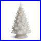 Ceramic_Lighted_Christmas_Tree_Large_White_Tabletop_Tree_Clear_Lights_15_5_01_rd