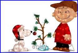 Charlie Brown, Snoopy & The Lonely Tree Lighted Outdoor Christmas Decoration 3pc