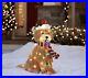 Christmas_Goldendoodle_Lab_Dog_27_Light_Up_LED_Fluffy_Tinsel_Dog_Puppy_Decor_01_jyvk