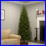 Christmas_Tree_Stand_Unlit_Kingswood_Fir_Holiday_Decor_ASSORTED_Sizes_01_rh