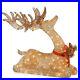 Christmas_Xmas_Gold_Deer_Reindeer_Pre_Lit_Outdoor_Yard_Decor_Lighted_Decoration_01_iwj