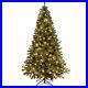 Colorado_Green_Spruce_Pre_Lit_Christmas_Tree_250_Warm_White_LED_Lights_7FT_01_wn