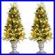 Costway_4ft_Set_of_2_Pre_lit_Snowy_Christmas_Entrance_Tree_with_100_LED_Lights_01_lo