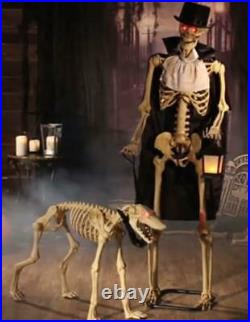 Dapper Standing Man & Dog Skeletons Lighted Talking Animated Halloween Props 62