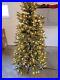 Discontinued_Balsam_Hill_6_5_Calistoga_Fir_with_clear_lights_01_ge