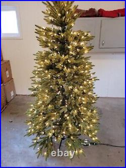 Discontinued Balsam Hill 6.5' Calistoga Fir with clear lights