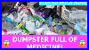 Dumpster_Divin_Toys_Jewlery_Meds_U0026_Soooo_Much_More_01_sonz