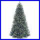 Ergode_7_5_ft_North_Valley_R_Blue_Spruce_Tree_with_Clear_Lights_01_vk