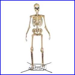 Free Local Pickup 12 Ft Skeleton 12 Foot Tall Giant Animated LCD Eyes Halloween