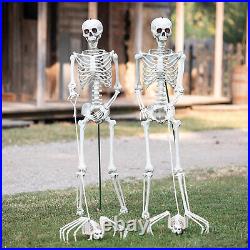 Fun Express Skeletons Walking Pet Spiders Halloween Decorating Kit 4 Pc