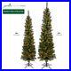 Garden_Elements_The_4_Western_Pine_Pencil_Tree_with_100_Clear_Lights_01_aa