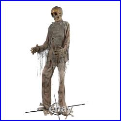 Halloween Animatronic LOWES 12 ft Foot Giant Skeleton Mummy LED Lighted SOLD OUT