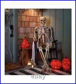 Halloween Haunted Living 7-ft Poseable Skeleton NEW