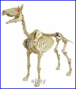 Halloween Horse 4 ft. LED Skeleton Pony By Home Accents Holiday Depot HTF SHIPS