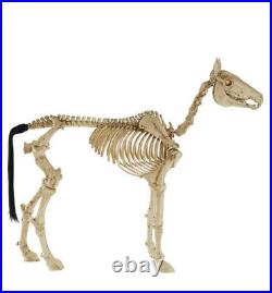 Halloween Horse 4 ft. LED Skeleton Pony By Home Accents Holiday Depot HTF SHIPS