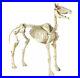 Halloween_Prop_Life_Size_74_inches_6_ft_Horse_Skeleton_Lighted_Eyes_and_Sound_01_ybsx