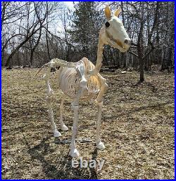 Halloween Prop Life Size 74 inches (6 ft) Horse Skeleton Lighted Eyes and Sound