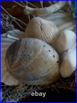 Handmade Seashell, Starfish Etc Driftweed WreathCoastal Home Decor Beach Decor