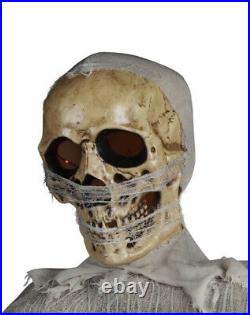 Haunted Living 12-ft Lighted Animatronic Mummy Lowes Exclusive Sold Out