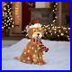 Holiday_Living_Goldendoodle_27_LED_Christmas_Light_Up_Fluffy_Doodle_Dog_Decor_01_fp