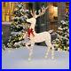Holiday_Time_60_Light_Up_Glitter_Standing_Buck_with_120_Count_Clear_Incandescent_01_kl