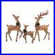 Holiday_Time_Set_of_3_Light_up_Rattan_Look_Deer_Family_with_210_Clear_Christmas_01_xkz