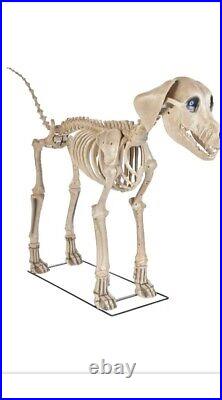 Home Accents 7 FT Skelly's Dog Local Pickup Only