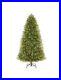 Home_Accents_Holiday_7_5ft_Pre_Lit_Tree_01_rsjv