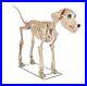 Home_Accents_Holiday_Halloween_Home_Depot_7_FT_Foot_Skelly_s_Dog_PRESALE_01_sos