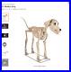 Home_Accents_Holiday_Halloween_Home_Depot_7_FT_Skelly_s_Dog_NEW_PRESALE_01_dhxw