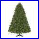Home_Decorators_Collection_7_5_ft_Waldorf_Fir_Christmas_Tree_01_diq