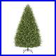 Home_Decorators_Collection_9_ft_Eastcastle_Balsam_Fir_LED_Christmas_Tree_01_xl