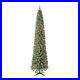 Home_Heritage_9_Foot_Pre_Lit_Stanley_Pencil_Christmas_Tree_with_Stand_Open_Box_01_wg