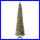Home_Heritage_9_Foot_Pre_Lit_Stanley_Pencil_Christmas_Tree_with_Stand_Used_01_lu