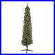 Home_Heritage_Stanley_7_Foot_Prelit_Slim_Pencil_Pine_Artificial_Christmas_Tree_01_dnf