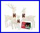 Impressive_Reindeer_Christmas_Decoration_Family_Set_of_3_Large_Lighted_Chri_01_ezsv
