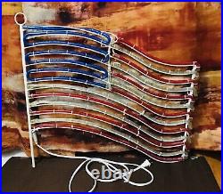 Indoor Outdoor 24 USA Flag LED Rope Light Silhouette Motif Window Display Decor