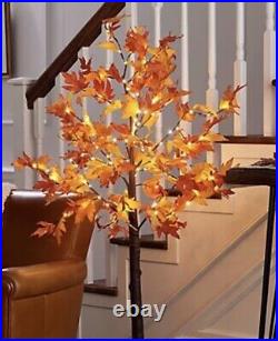 Indoor/Outdoor 5' Lighted Maple Leaf Tree Valerie Parr Hill 60