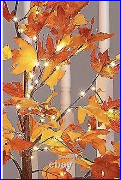 Indoor/Outdoor 5' Lighted Maple Leaf Tree Valerie Parr Hill 60