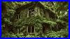 Jumanji_Mansion_House_Abandoned_And_Taken_By_Nature_With_Everything_Left_Inside_01_ec