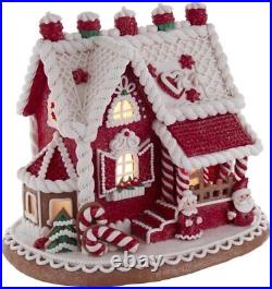 Kurt S. Adler 9-Inch Santa and Mrs. Claus Clay Gingerbread House With LED Light