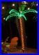 LED_Deluxe_Rope_Light_Palm_Tree_Green_7_Deluxe_LED_Lighted_Palm_Tree_01_hem
