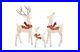 Large_3_Piece_Deer_Family_with_260_Clear_Lights_Christmas_60_Buck_50_Doe_28_01_cx